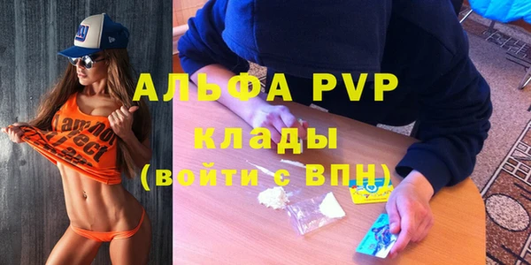 spice Куйбышев