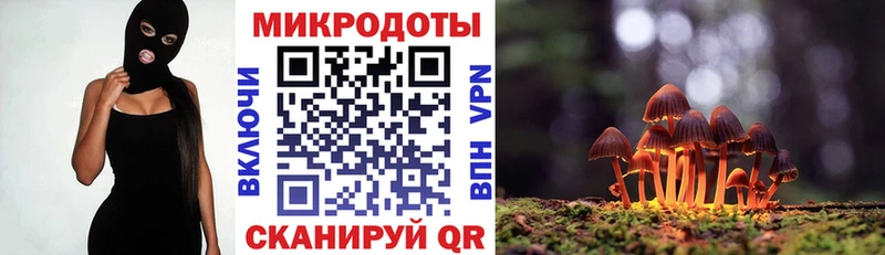 Псилоцибиновые грибы MAGIC MUSHROOMS  что такое наркотик  Спасск 